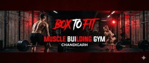 Muscle building gym in Chandigarh