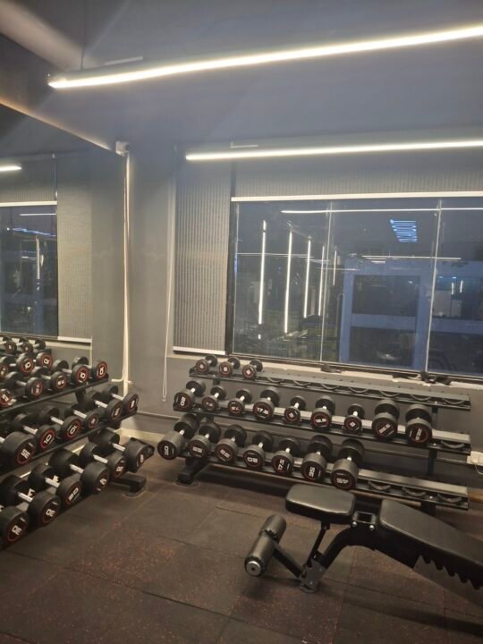 Dumbbell rack and benches at BTF Gym New Chandigarh